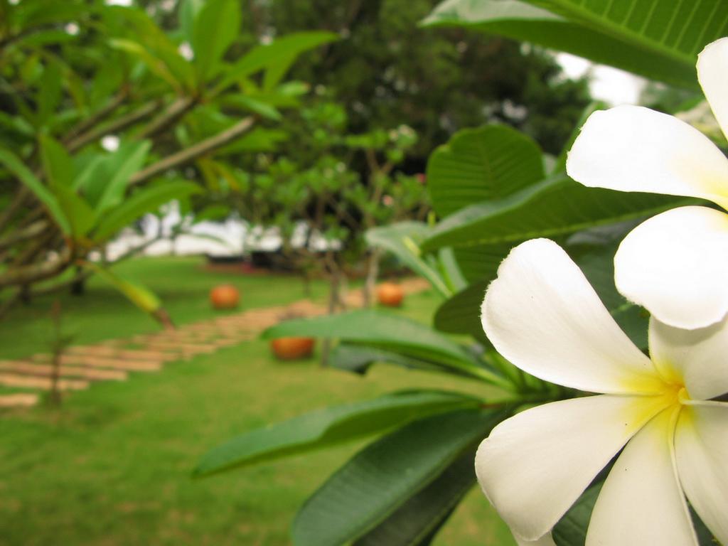 Baan Pun Sook Resort Pantai Chao Lao Bagian luar foto
